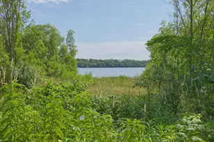 8412 Ingram Ave SW, Howard Lake, MN 55349 - Photo 67
