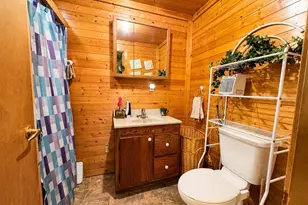 44526 County 3, Solway, MN 56678 - Photo 11