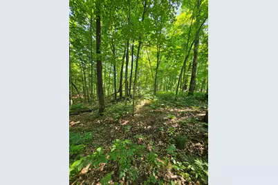 49 Acres 16th Avenue, Cameron, WI 54822 - Photo 19