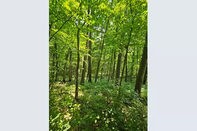 49 Acres 16th Avenue, Cameron, WI 54822 - Photo 13