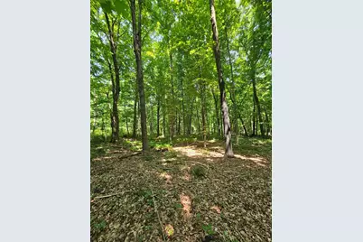 49 Acres 16th Avenue, Cameron, WI 54822 - Photo 17