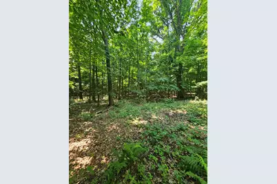 49 Acres 16th Avenue, Cameron, WI 54822 - Photo 21