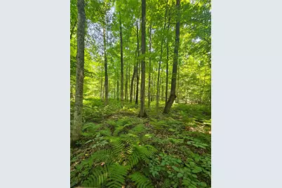 49 Acres 16th Avenue, Cameron, WI 54822 - Photo 23
