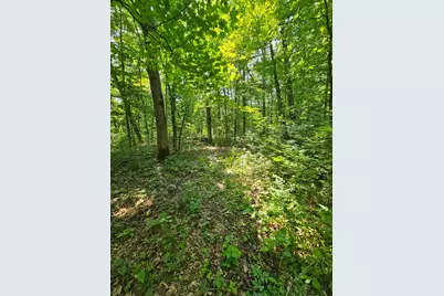 49 Acres 16th Avenue, Cameron, WI 54822 - Photo 9