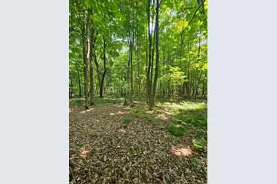 49 Acres 16th Avenue, Cameron, WI 54822 - Photo 15