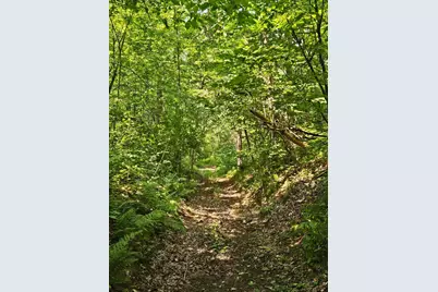 49 Acres 16th Avenue, Cameron, WI 54822 - Photo 3