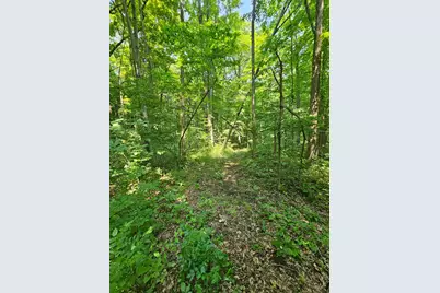 49 Acres 16th Avenue, Cameron, WI 54822 - Photo 7