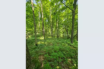 49 Acres 16th Avenue, Cameron, WI 54822 - Photo 11