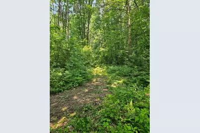 49 Acres 16th Avenue, Cameron, WI 54822 - Photo 1