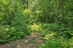 49 Acres 16th Ave, Cameron, WI 54822 - Photo 1