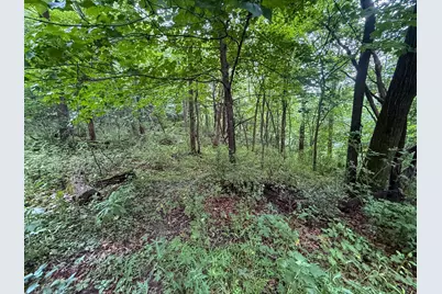 Tbd 590th Street, Kellogg, MN 55964 - Photo 65