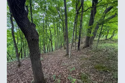 Tbd 590th Street, Kellogg, MN 55964 - Photo 77