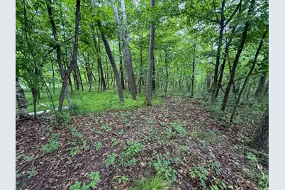 Tbd 590th Street, Kellogg, MN 55964 - Photo 73