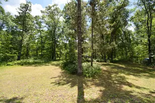 29774 Little Bear Dr, Danbury, WI 54830 - Photo 57