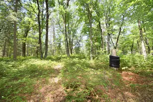 29774 Little Bear Dr, Danbury, WI 54830 - Photo 63