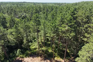 25871 Centennial Ln, Nisswa, MN 56468 - Photo 39