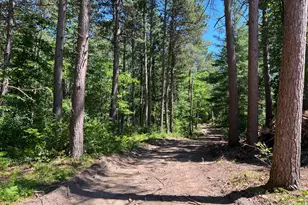 25871 Centennial Ln, Nisswa, MN 56468 - Photo 47