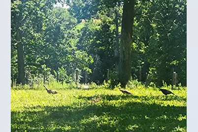 Lot 28 21st Street, Rice Lake, WI 54868 - Photo 3