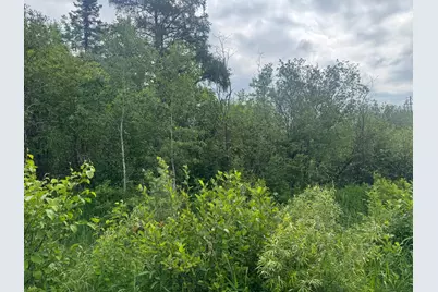 3Xxx Quaal Road, Forbes, MN 55738 - Photo 3