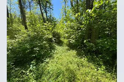 46212 US Highway 169, Palisade, MN 56469 - Photo 15