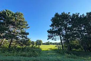 1298 210th Ave, Ogilvie, MN 56358 - Photo 21