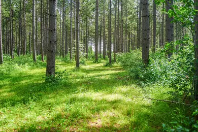 28391 County 109, Menahga, MN 56464 - Photo 81
