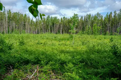 28391 County 109, Menahga, MN 56464 - Photo 63