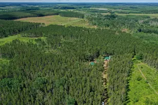28391 County 109, Menahga, MN 56464 - Photo 71