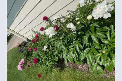 16015 46th Avenue N, Plymouth, MN 55446 - Photo 51