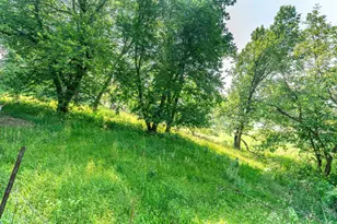 33667 Co Hwy 27, Erhard, MN 56534 - Photo 61