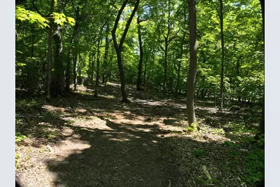 Lot 6 West Lake Olaf Road, Pelican Rapids, MN 56572 - Photo 23