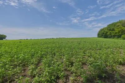 Tbd Ingram Avenue SW, Howard Lake, MN 55349 - Photo 11