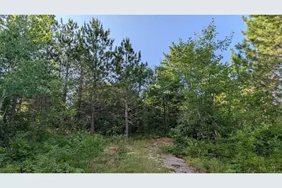 7952 Highway 24, Orr, MN 55771 - Photo 3