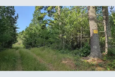 7952 Highway 24, Orr, MN 55771 - Photo 7