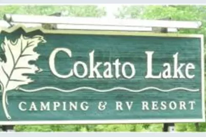 2945 County Road 4 SW #237, Cokato, MN 55321 - Photo 3