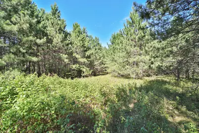 16310 Pristine Pine Court, Brainerd, MN 56401 - Photo 55