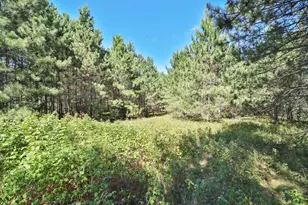 16310 Pristine Pine Ct, Brainerd, MN 56401 - Photo 55