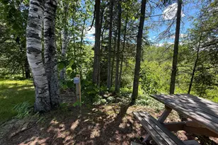 6231 72nd Street NE, Remer, MN 56672 - Photo 9