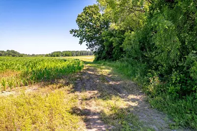Xxx Sugarbush Road, Nowthen, MN 55330 - Photo 7
