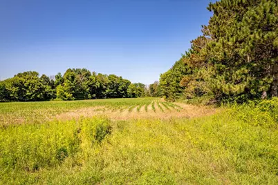 Xxx Sugarbush Road, Nowthen, MN 55330 - Photo 3