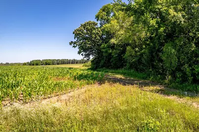 Xxx Sugarbush Road, Nowthen, MN 55330 - Photo 5