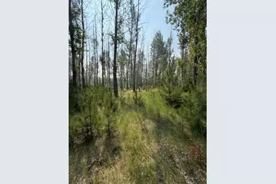Xxx County Rd 26, Verndale, MN 56481 - Photo 5