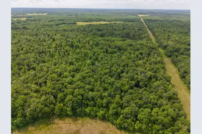 80 Acres Pike Bay Loop Road NW, Cass Lake, MN 56633 - Photo 9