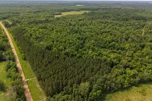80 Acres Pike Bay Loop Road NW, Cass Lake, MN 56633 - Photo 1