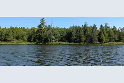 Tbd Hwy. 24, Orr, MN 55771 - Photo 11