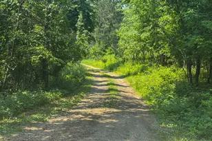E9393 1080th Ave, Colfax, WI 54730 - Photo 59