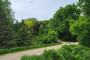 6306 Crackleberry Trail, Woodbury, MN 55129 - Photo 93
