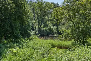 6306 Crackleberry Trail, Woodbury, MN 55129 - Photo 23