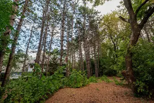 1820 Interlachen Alcove, Woodbury, MN 55125 - Photo 121