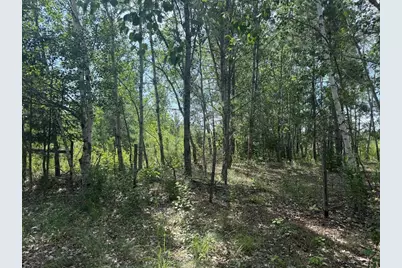 Abc County 2, Nevis, MN 56467 - Photo 17